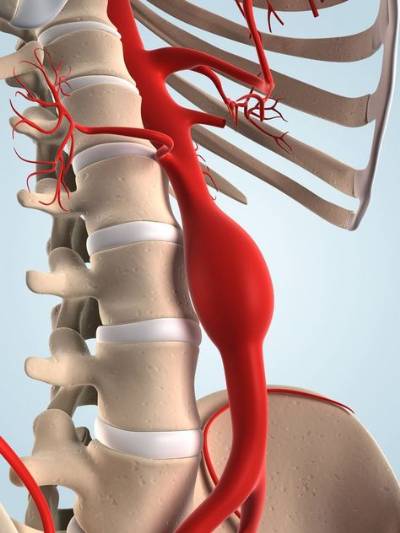Medical science: Spain's latest 'Eureka' moments