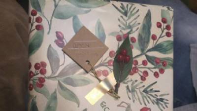 'Looking for Rosy': Twitter campaign launched after Christmas gift left on train