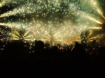 'Burial of the Sardine': Spain's fishy festival explained