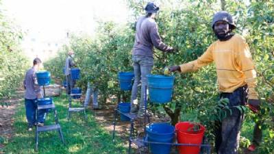 Bilbao nurse who came from Africa on a dinghy: From sleeping rough to saving lives
