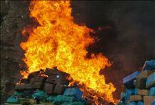 Giant cannabis bonfire in Almería