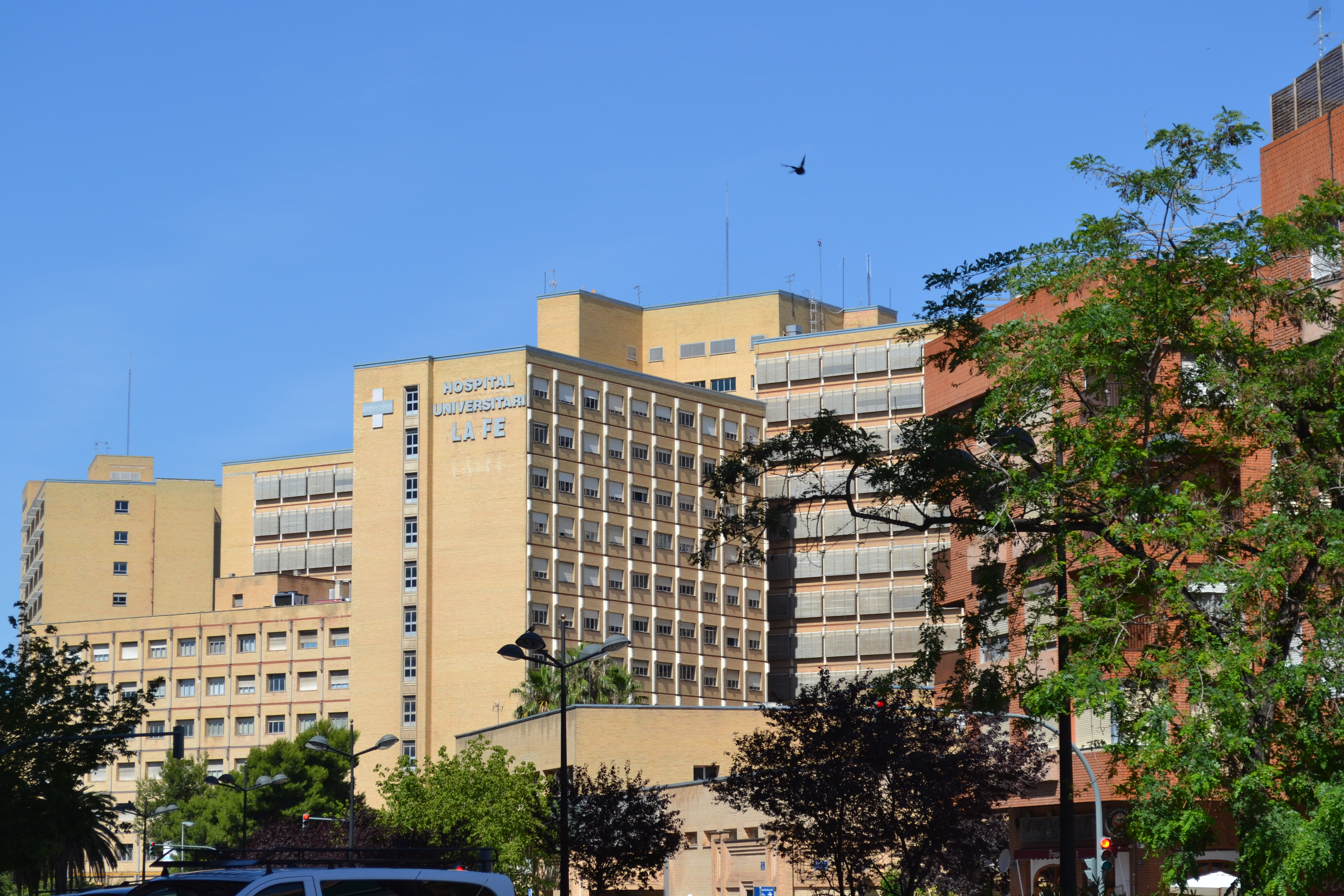 Spain's top hospitals are in Madrid and Barcelona, says annual ratings