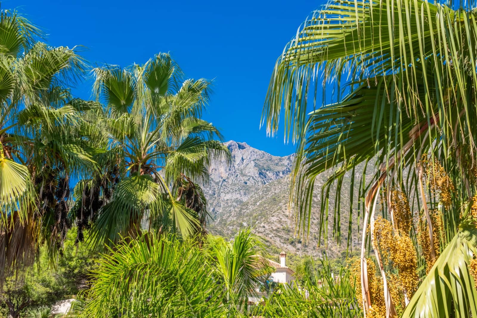 3 soverom Penthouse til salgs i Marbella med svømmebasseng garasje - € 1 250 000 (Ref: 4694004)