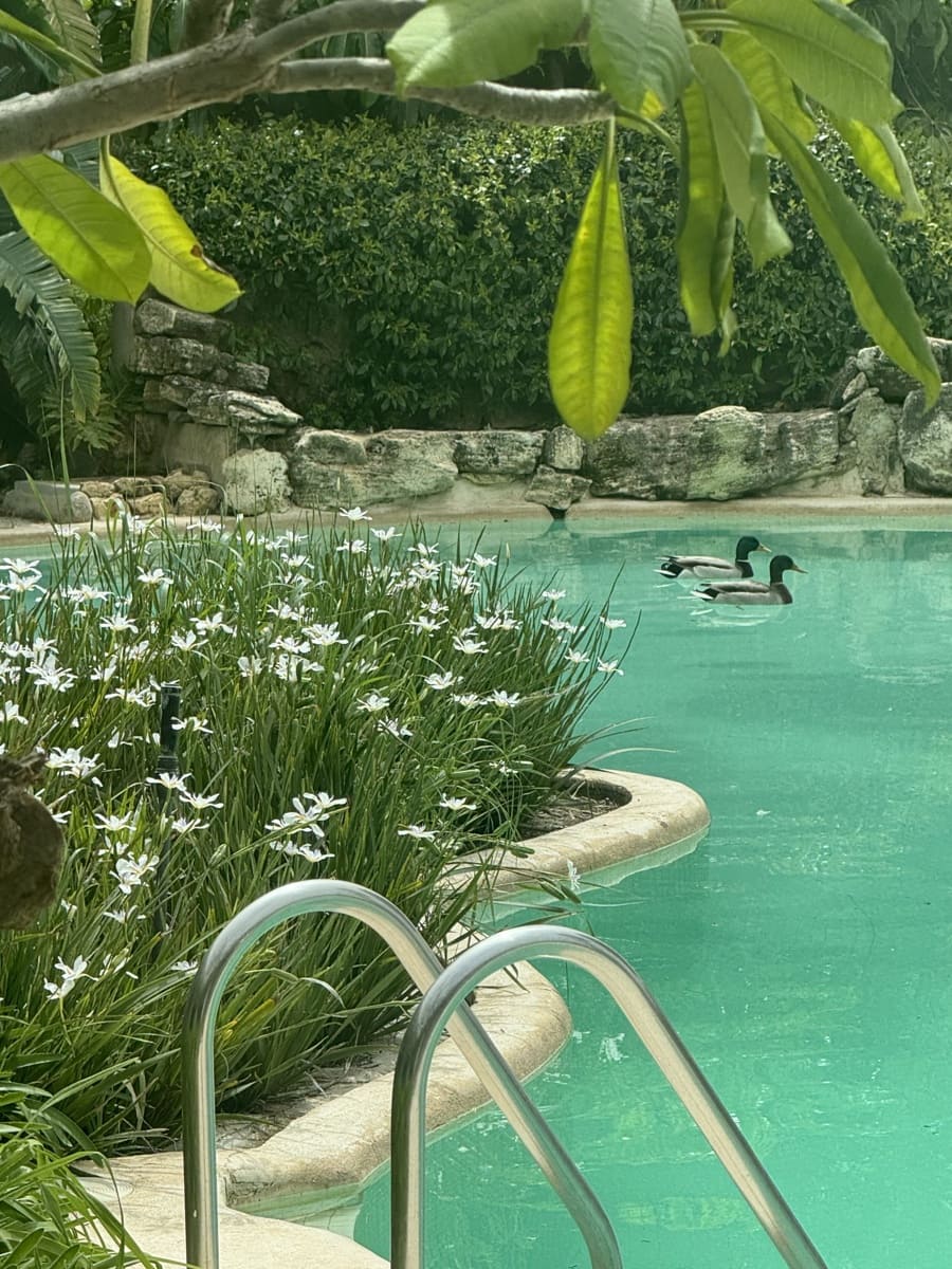 6 slaapkamer Villa te koop in Marbella met zwembad garage - € 3.500.000 (Ref: 4694273)