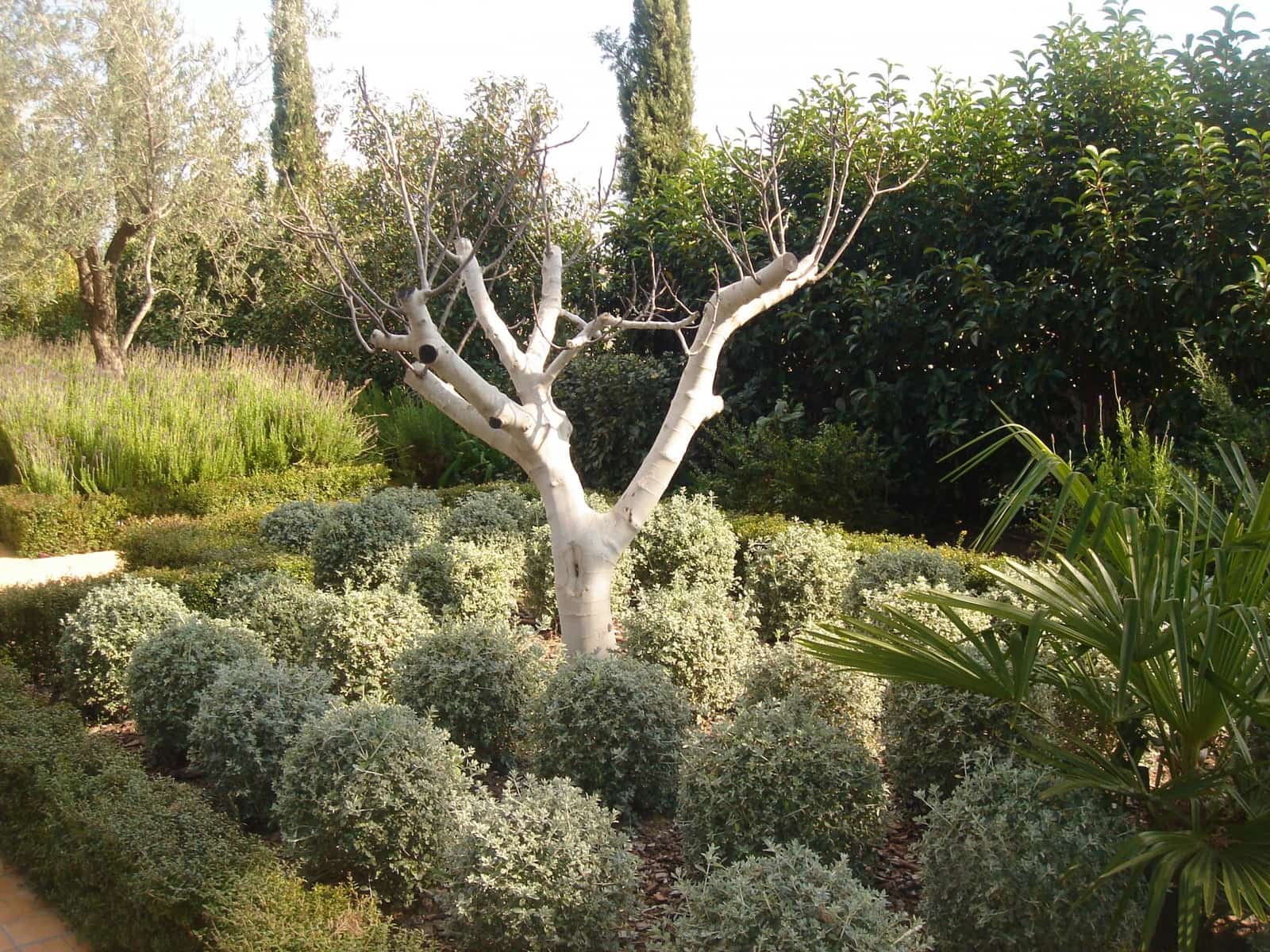 4 soveværelse Villa til salg i Ronda med swimmingpool garage - € 1.500.000 (Ref: 4694707)