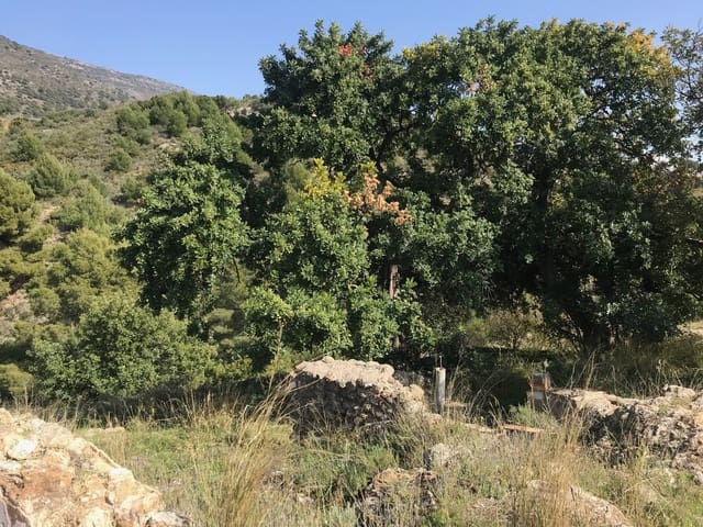 Bouwgrond te koop in Mijas - € 12.250.000 (Ref: 4694780)