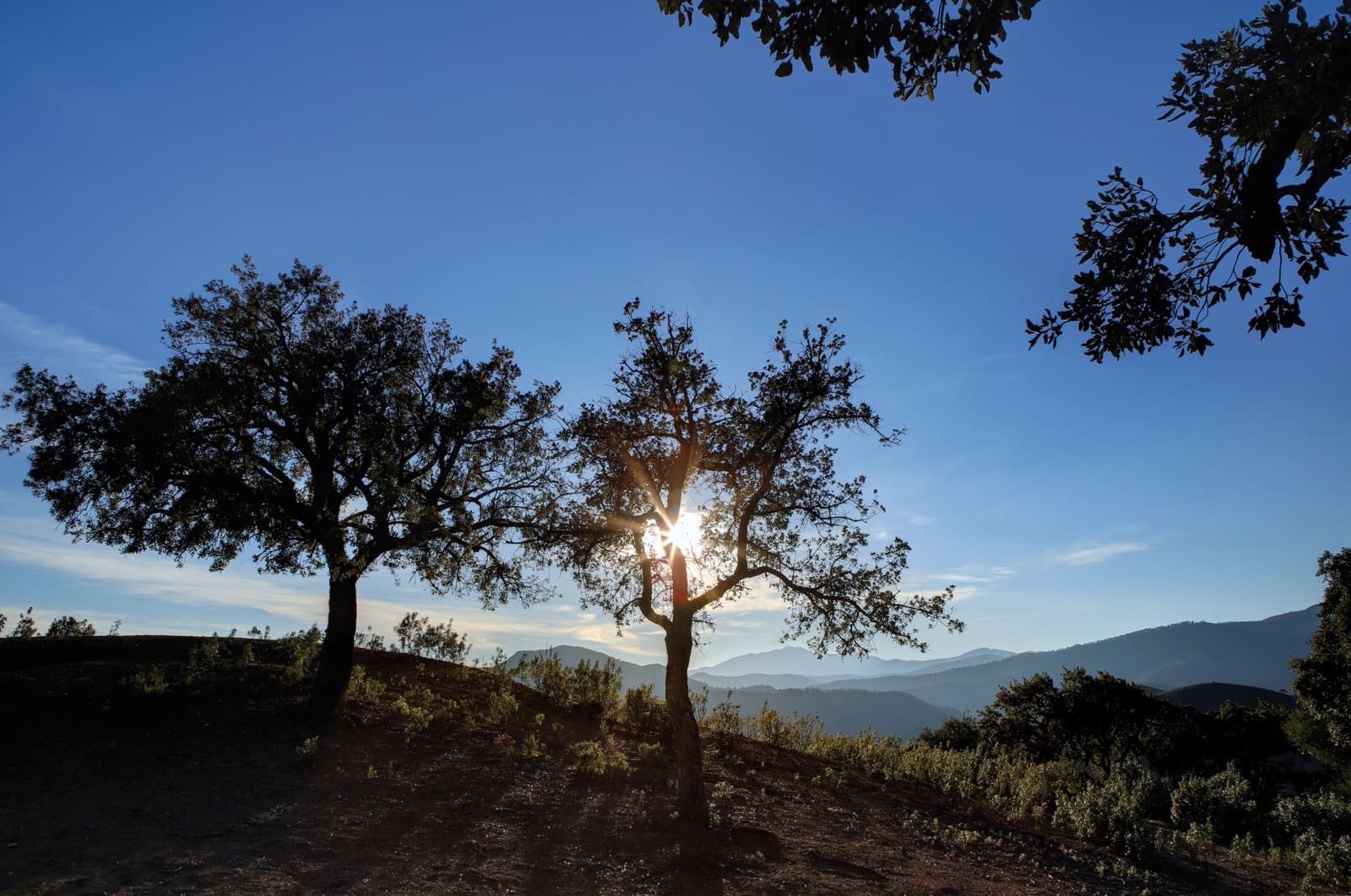 Byggegrund til salg i La Zagaleta - € 5.500.000 (Ref: 4949870)