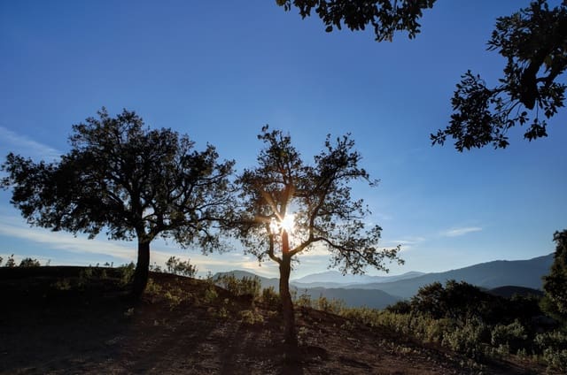 Byggetomt til salgs i La Zagaleta, Benahavís - € 5 500 000 (Ref: 4949870)