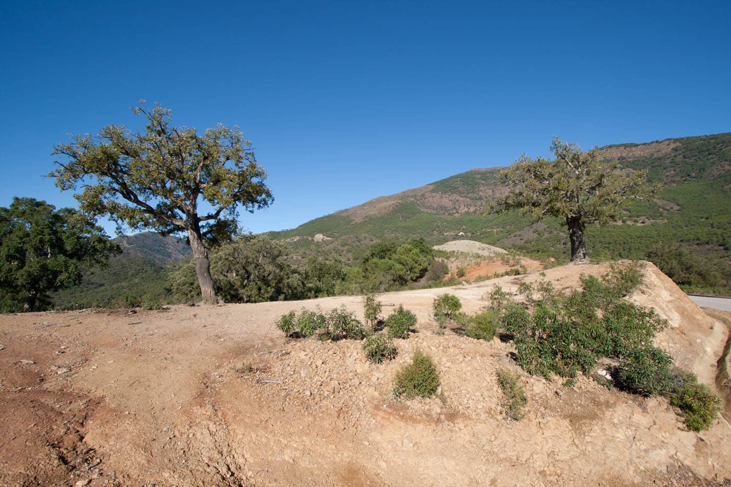 Byggegrund til salg i La Zagaleta - € 5.500.000 (Ref: 4949870)