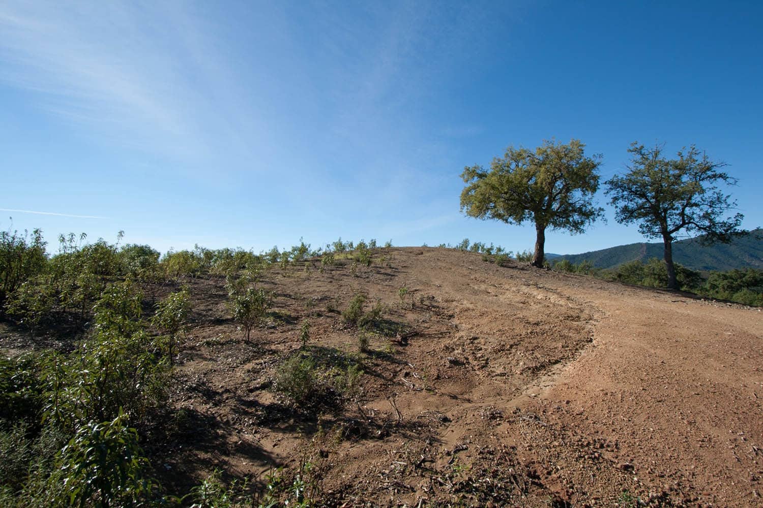 Byggegrund til salg i La Zagaleta - € 5.500.000 (Ref: 4949870)