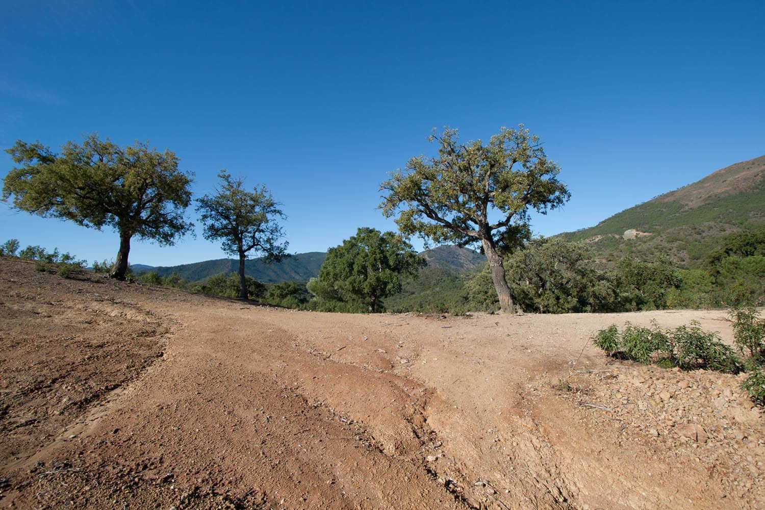 Byggegrund til salg i La Zagaleta - € 5.500.000 (Ref: 4949870)