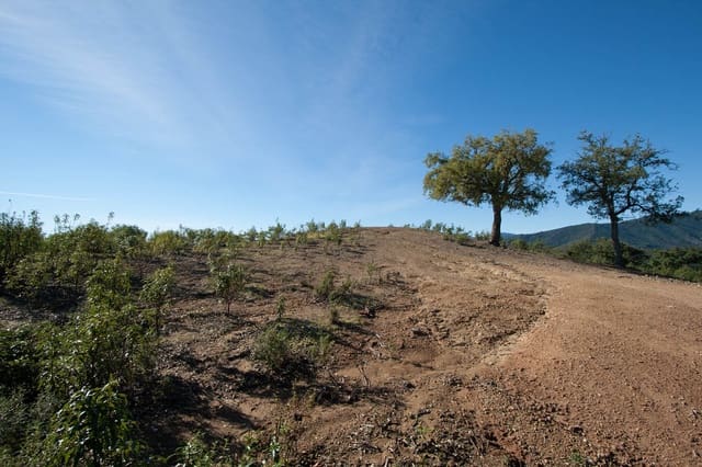 Byggetomt til salgs i La Zagaleta, Benahavís - € 5 500 000 (Ref: 4949870)