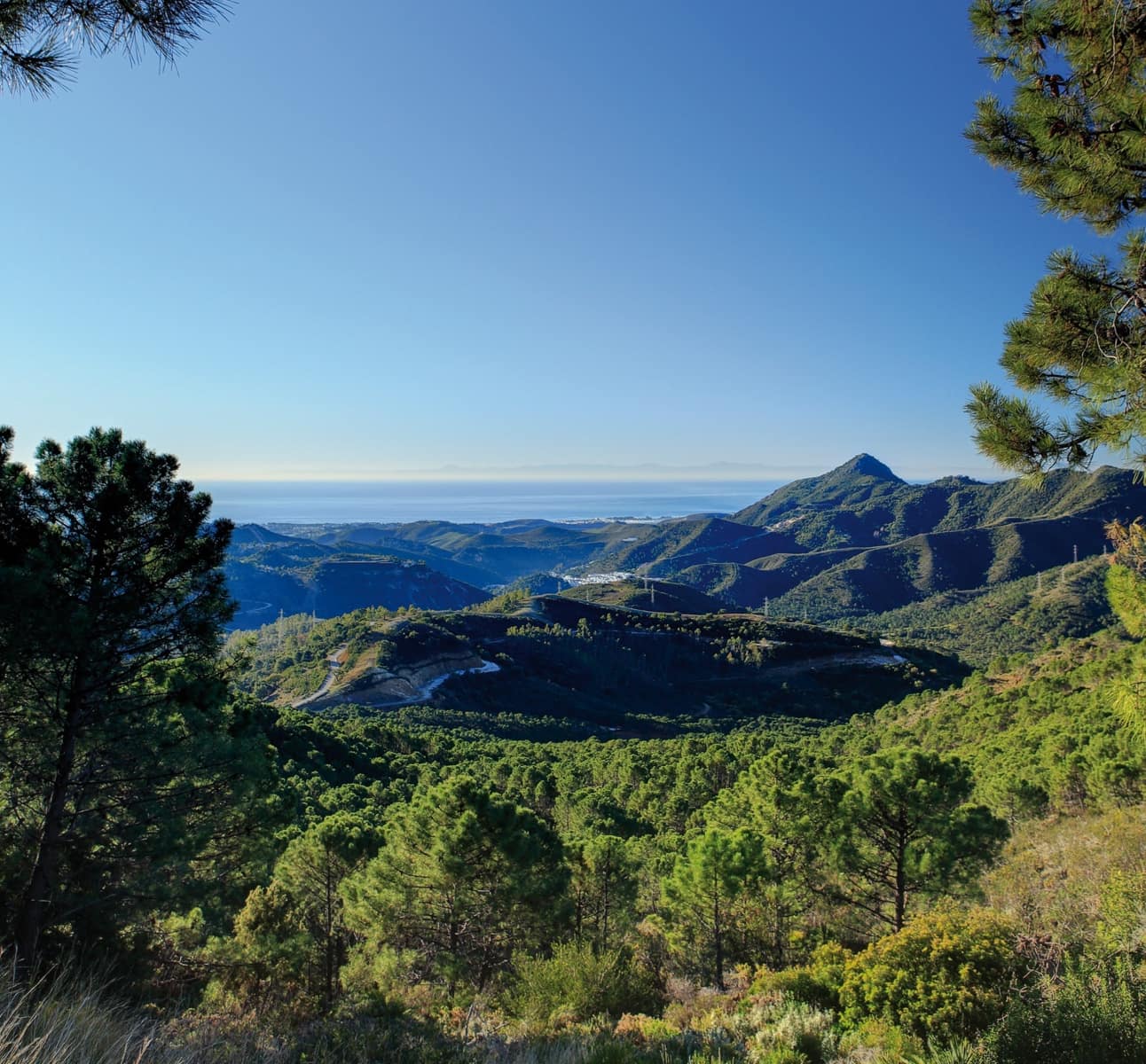 Byggegrund til salg i La Zagaleta - € 5.500.000 (Ref: 4949870)