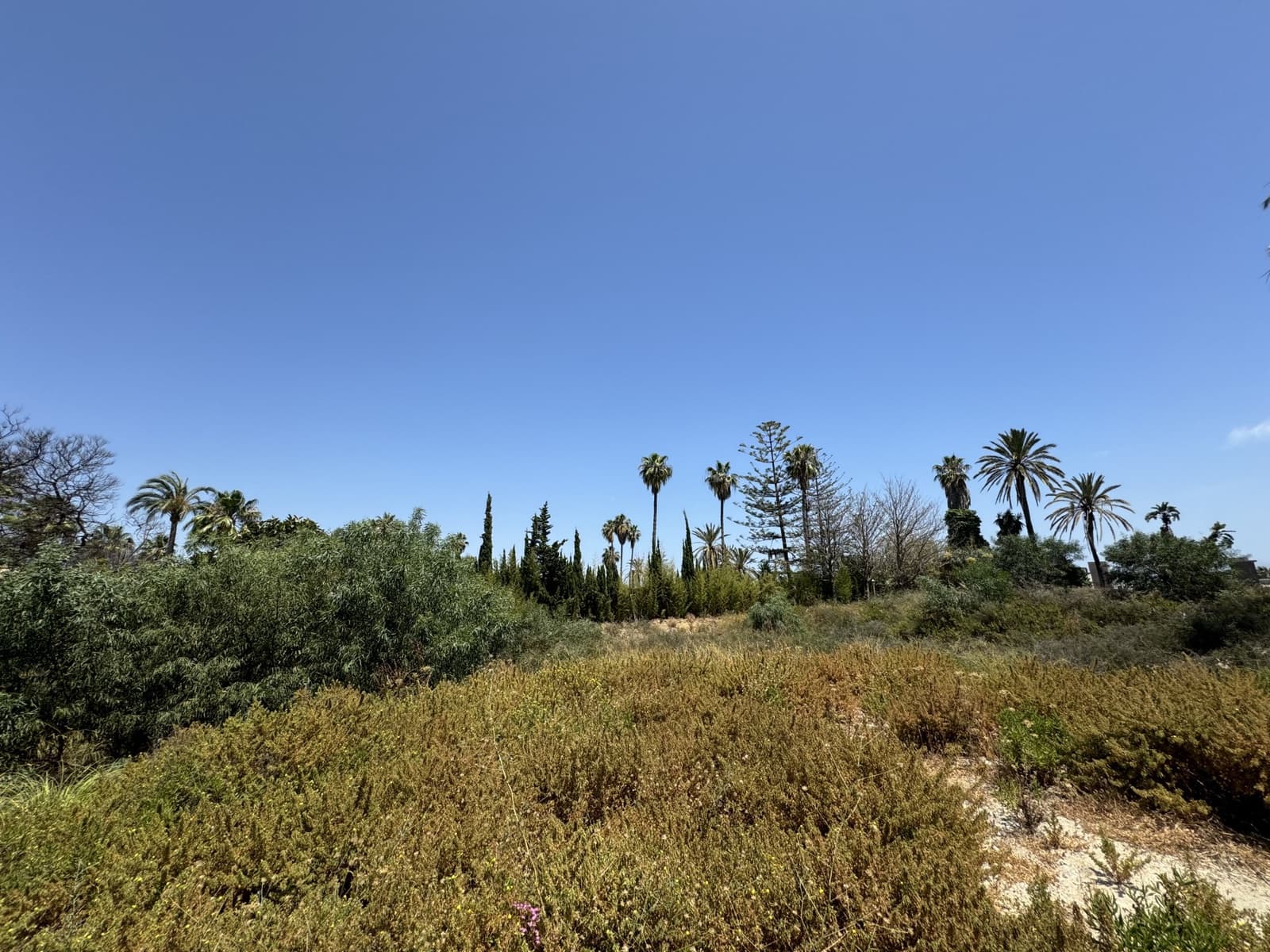 Solar/Parcela en Marbella en venta - 5.500.000 € (Ref: 5385378)