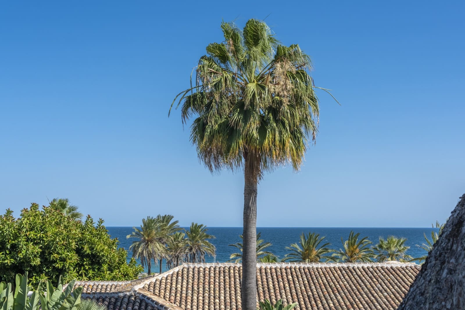 1 bedroom Penthouse for sale in Marbella with pool garage - € 2,995,000 (Ref: 6722610)