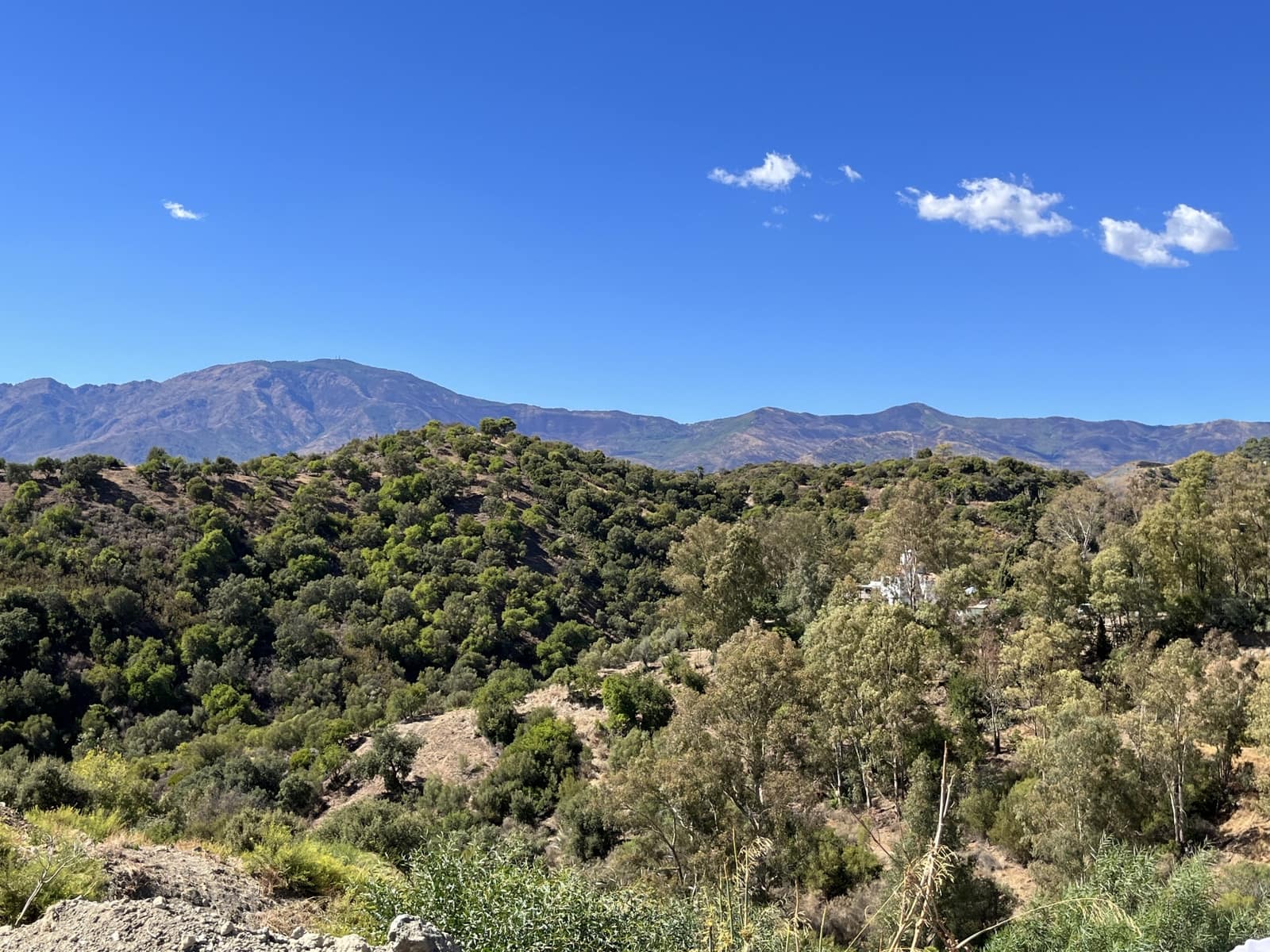 Building Plot for sale in Estepona - € 695,000 (Ref: 8342959)