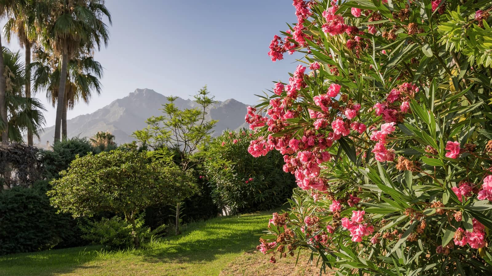 4 slaapkamer Villa te koop in Golden Mile met zwembad garage - € 4.200.000 (Ref: 9129639)