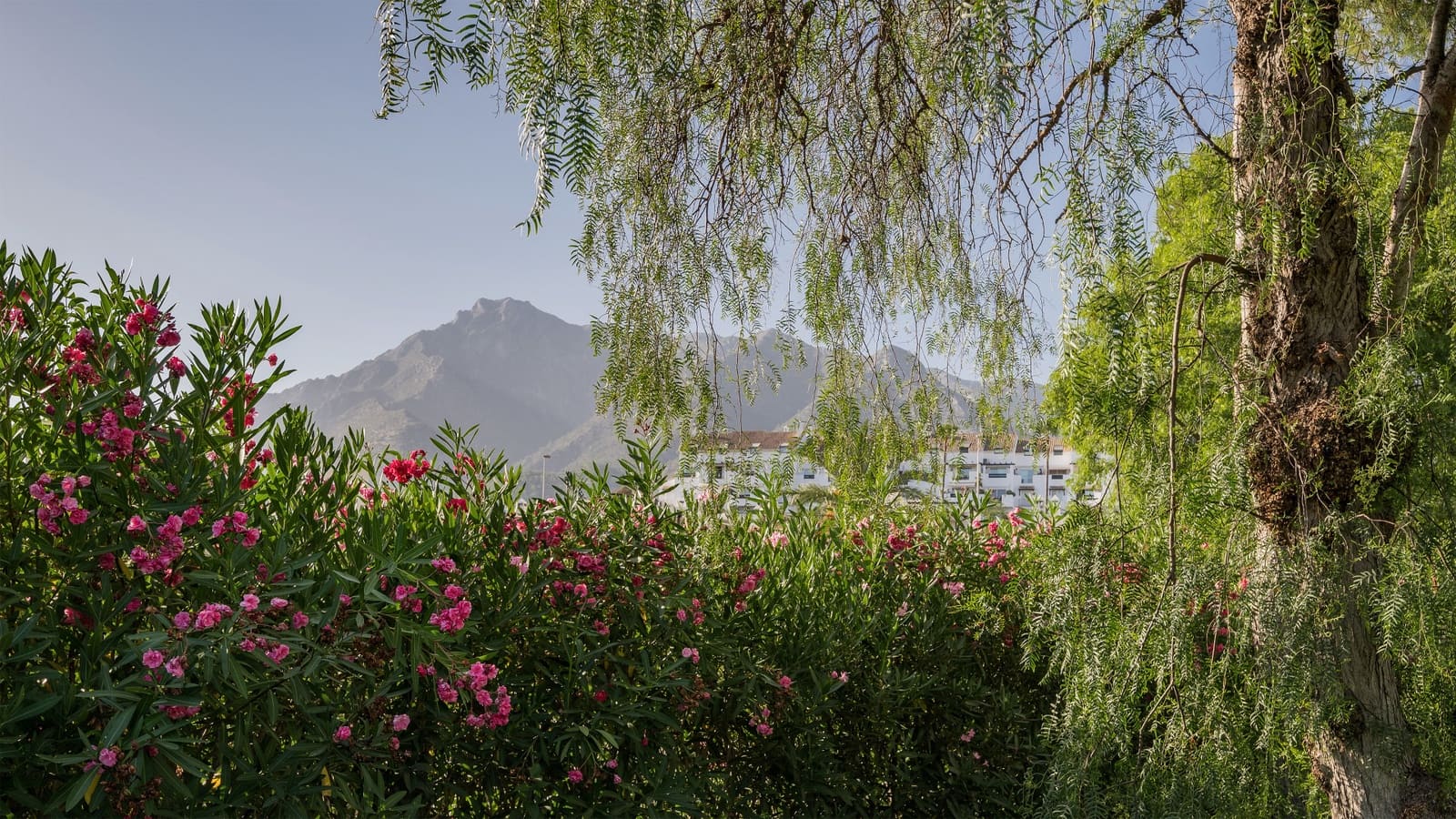 4 slaapkamer Villa te koop in Golden Mile met zwembad garage - € 4.200.000 (Ref: 9129639)