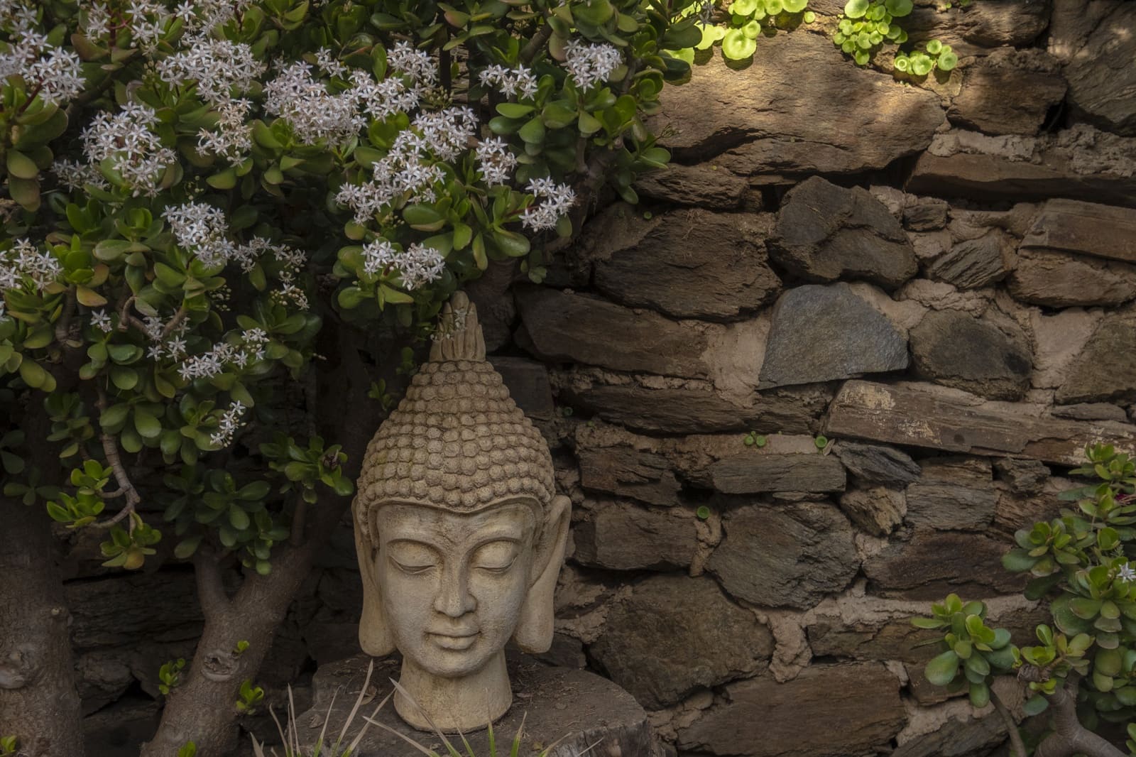 6 soveværelse Villa til salg i Sayalonga med swimmingpool - € 780.000 (Ref: 9349315)