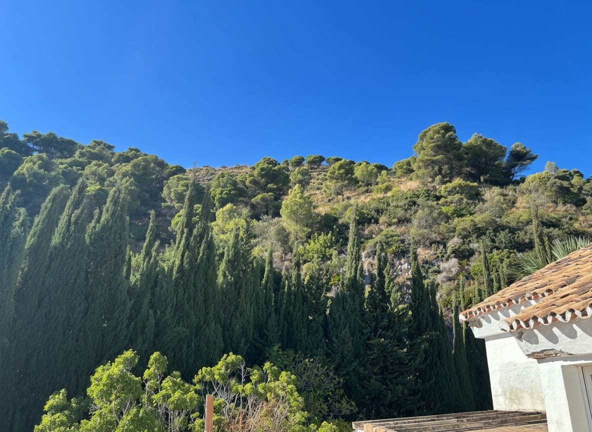 8 bedroom Villa for sale in Ojen with pool - € 1,350,000 (Ref: 9721488)