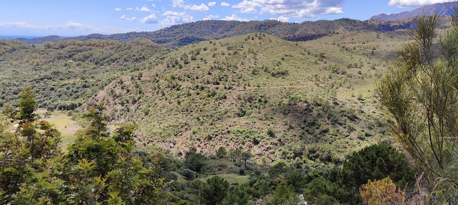 Terrain à Bâtir à vendre à Benahavis - 875 000 € (Ref: 9839074)