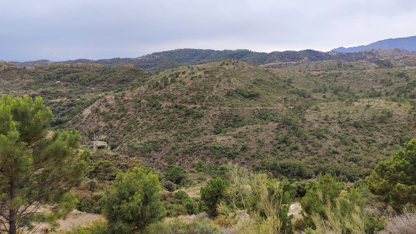 Terrain à Bâtir à vendre à Benahavis - 875 000 € (Ref: 9839074)