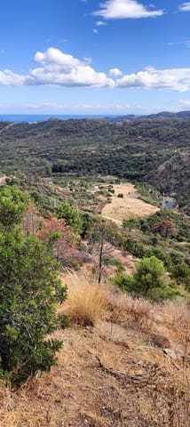 Terrain à Bâtir à vendre à Benahavís - 875 000 € (Ref: 9839074)