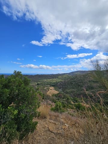 Terrain à Bâtir à vendre à Benahavís - 875 000 € (Ref: 9839074)