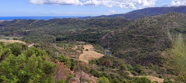 Terrain à Bâtir à vendre à Benahavís - 875 000 € (Ref: 9839074)