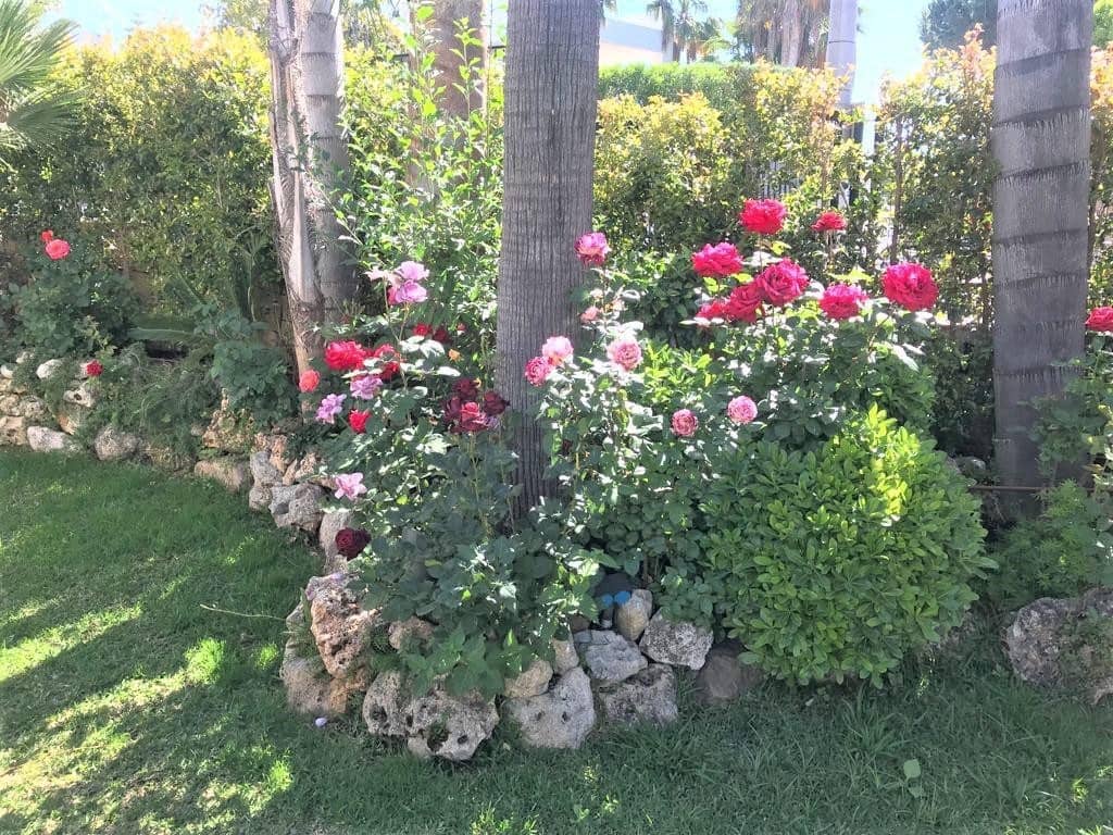 4 sovrum Villa att hyra i Marbella med pool garage - 9 100 € (Ref: 9891453)