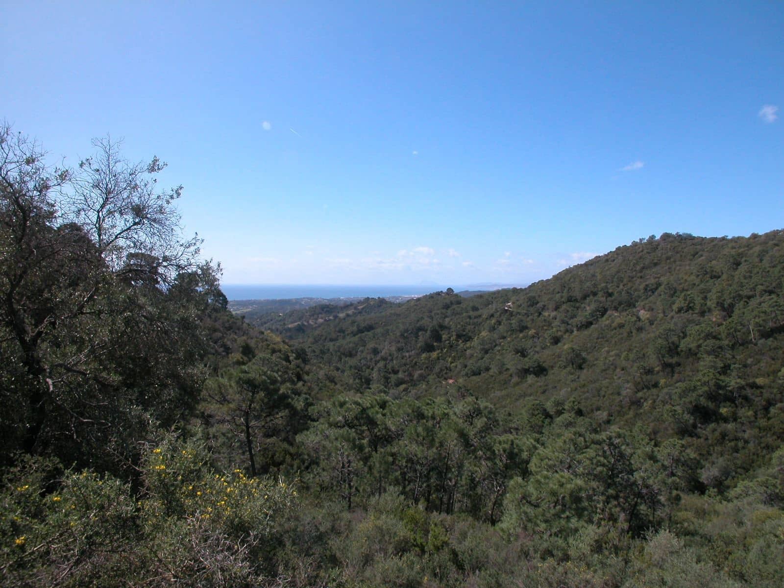 Finca/Landhuis te koop in Estepona - € 1.500.000 (Ref: 3618780)