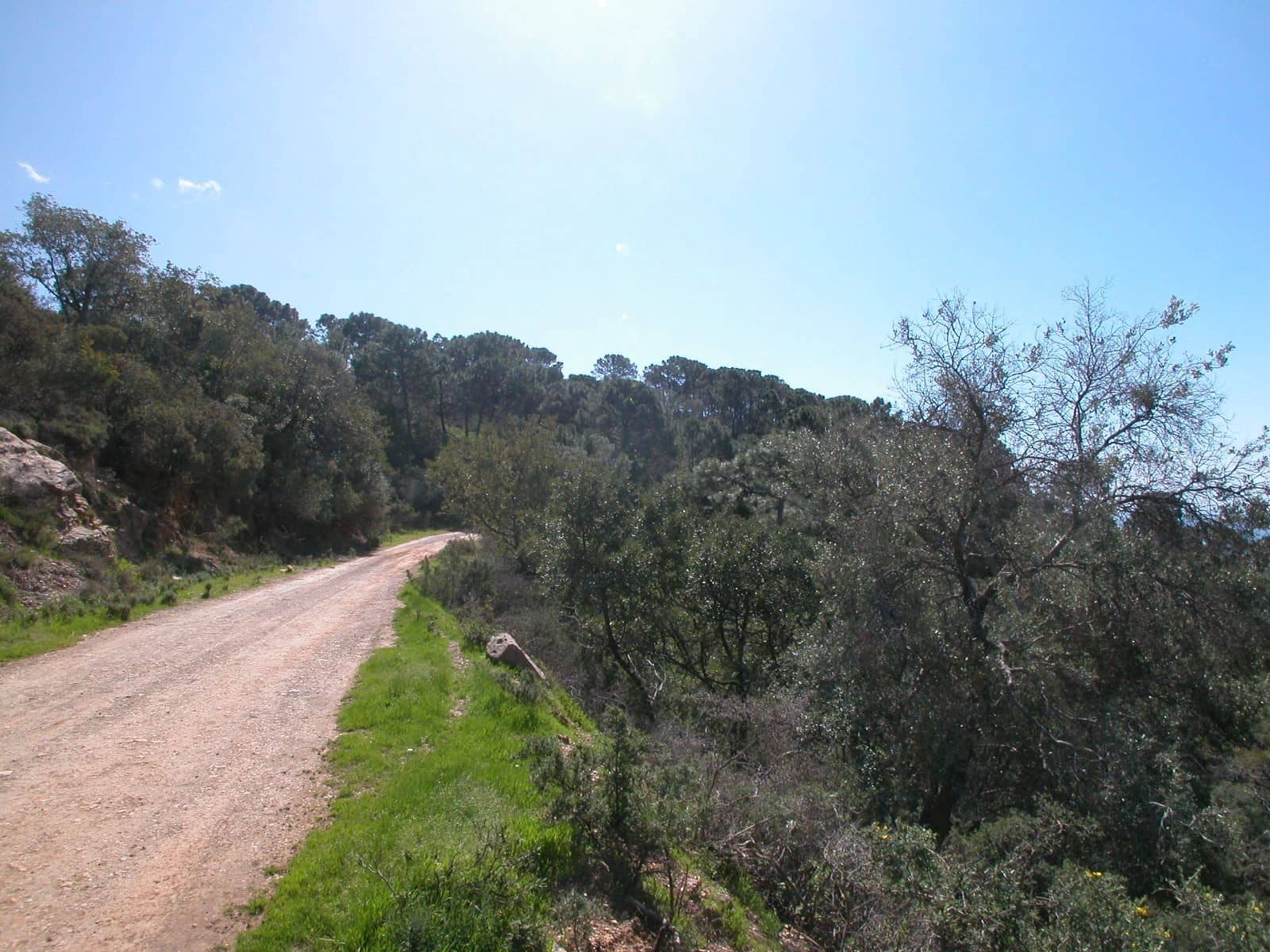 Finca/Landhuis te koop in Estepona - € 1.500.000 (Ref: 3618780)