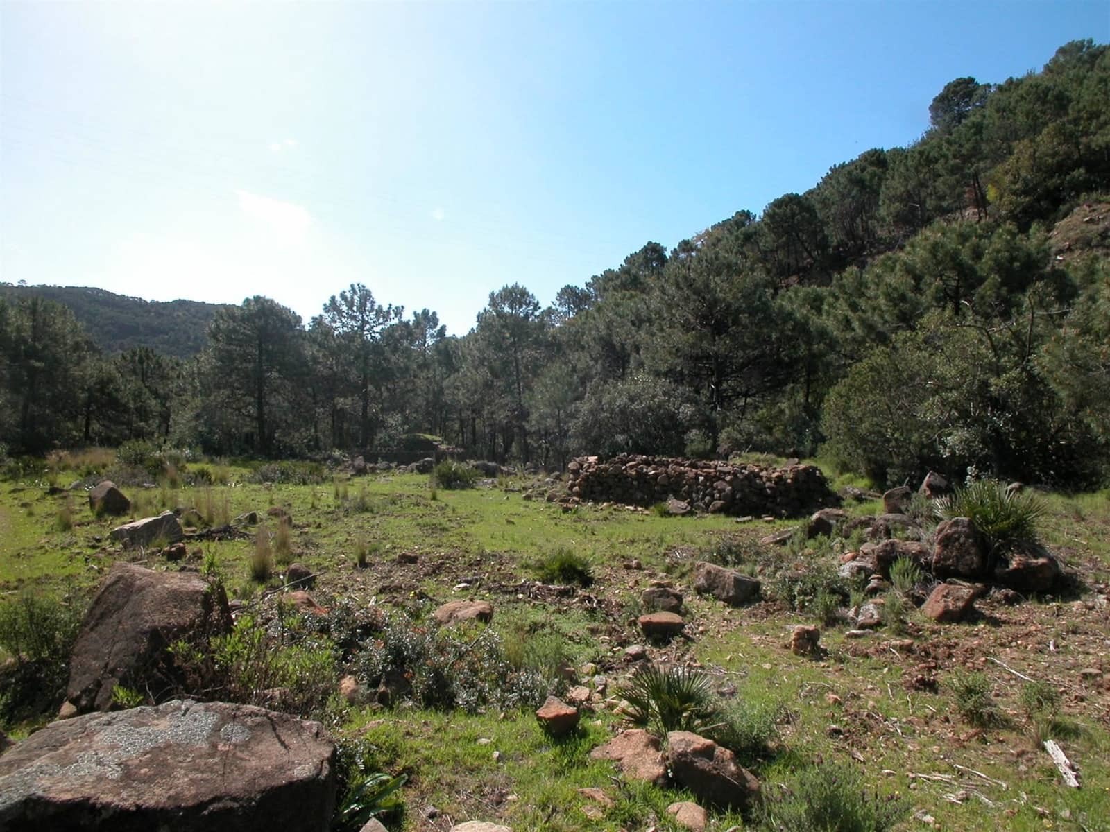 4 sypialnia Finka/Dom wiejski na sprzedaż w Estepona - 8 000 000 € (Ref: 3618960)