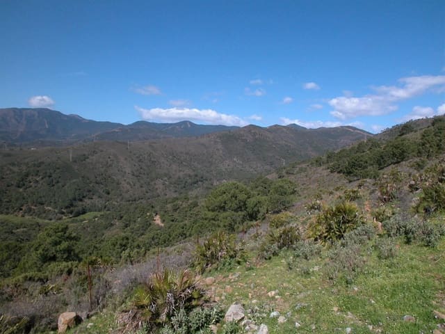 4 sypialnia Finka/Dom wiejski na sprzedaż w Altos de Estepona, Estepona - 8 000 000 € (Ref: 3618960)