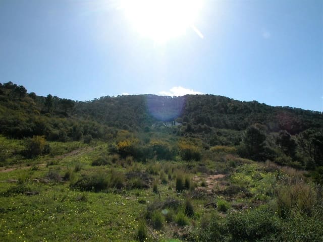 4 sypialnia Finka/Dom wiejski na sprzedaż w Altos de Estepona, Estepona - 8 000 000 € (Ref: 3618960)