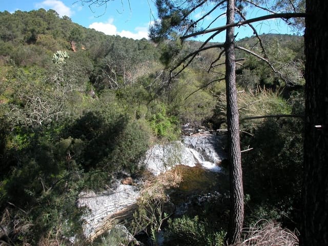 4 sypialnia Finka/Dom wiejski na sprzedaż w Altos de Estepona, Estepona - 8 000 000 € (Ref: 3618960)