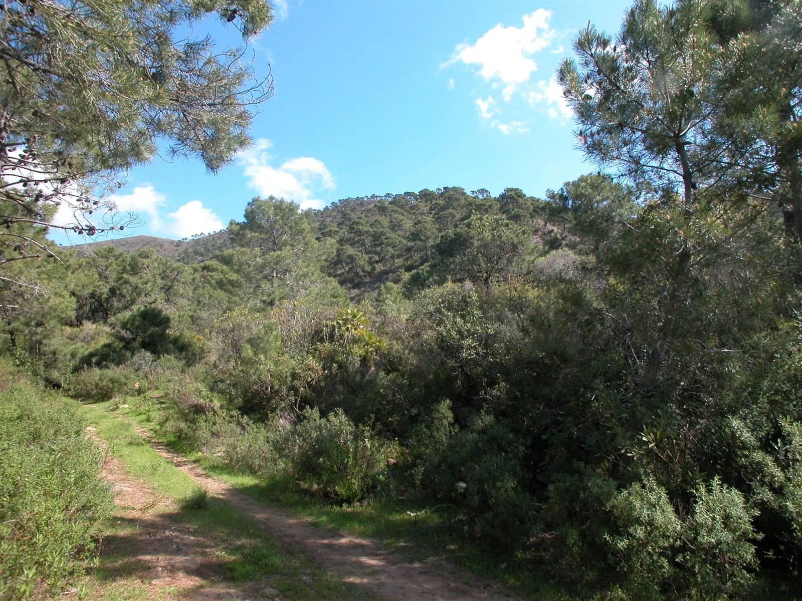 4 sypialnia Finka/Dom wiejski na sprzedaż w Estepona - 8 000 000 € (Ref: 3618960)