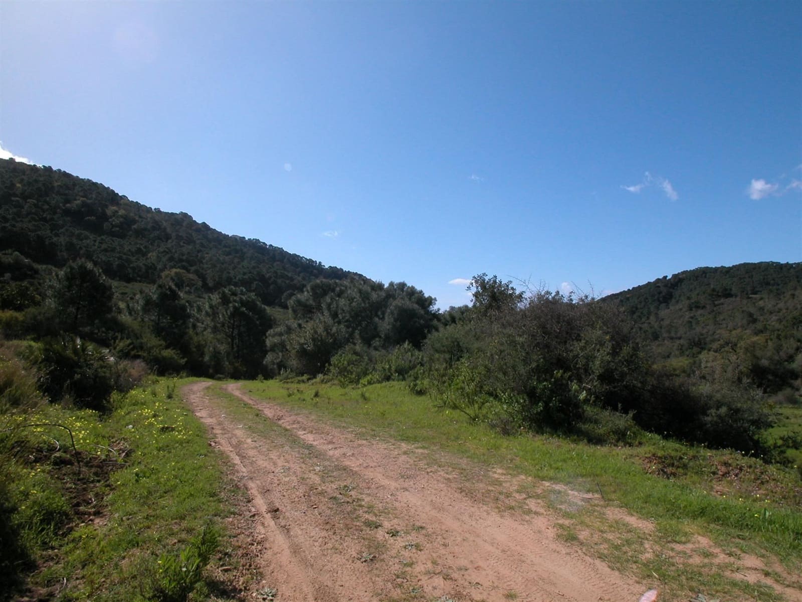 4 sypialnia Finka/Dom wiejski na sprzedaż w Estepona - 8 000 000 € (Ref: 3618960)