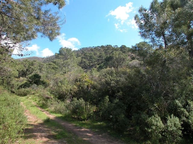 4 sypialnia Finka/Dom wiejski na sprzedaż w Altos de Estepona, Estepona - 8 000 000 € (Ref: 3618960)