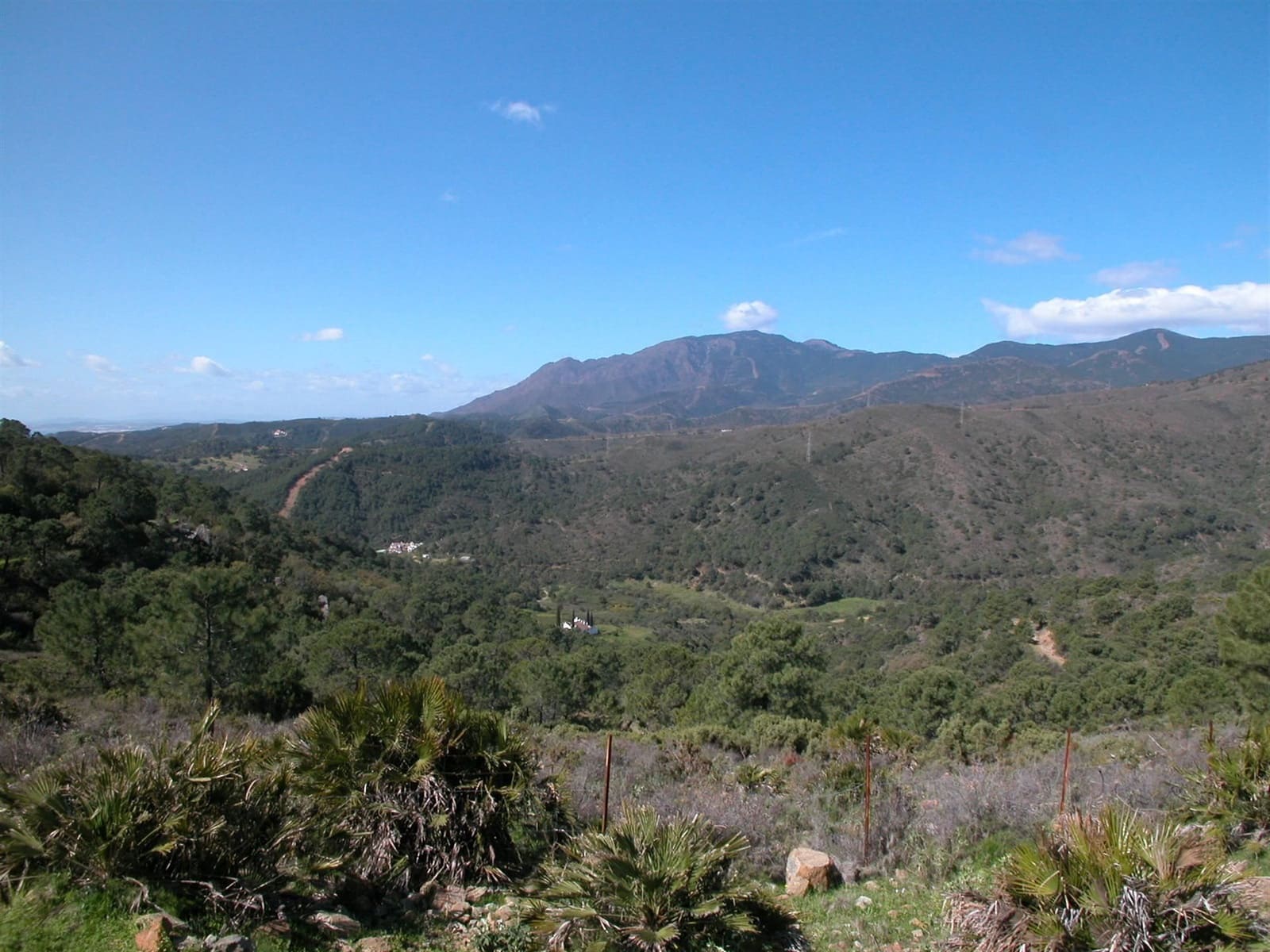 4 sypialnia Finka/Dom wiejski na sprzedaż w Estepona - 8 000 000 € (Ref: 3618960)