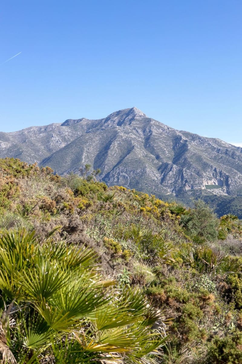 Działka budowlana na sprzedaż w La Quinta - 1 512 000 € (Ref: 4478507)