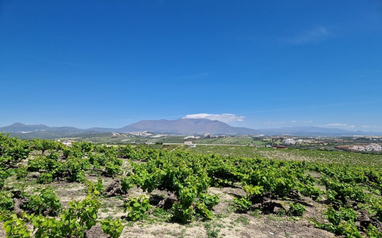 Byggegrund til salg i Manilva - € 6.958.954 (Ref: 4741400)