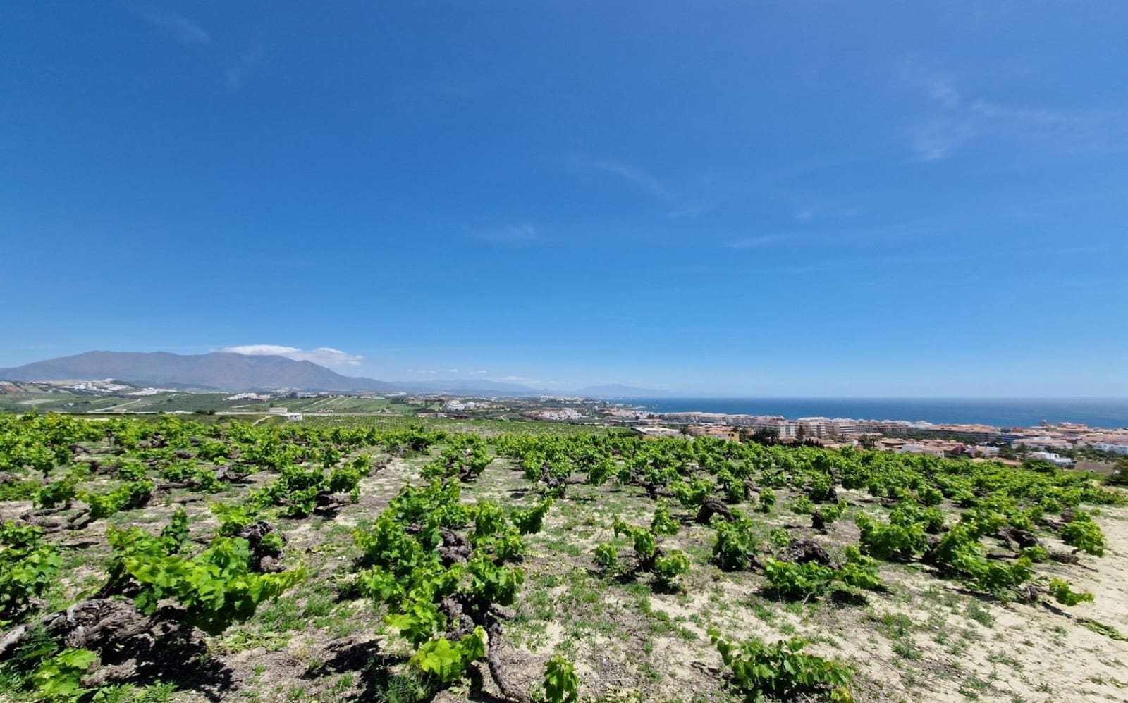 Byggegrund til salg i Manilva - € 6.958.954 (Ref: 4741400)