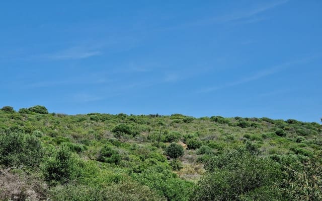 Building Plot for sale in Manilva Pueblo, Manilva - € 6,958,954 (Ref: 4741400)