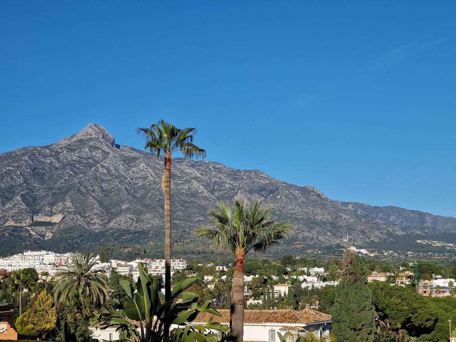 6 soveværelse Villa til salg i Nueva Andalucia - € 3.100.000 (Ref: 8267258)