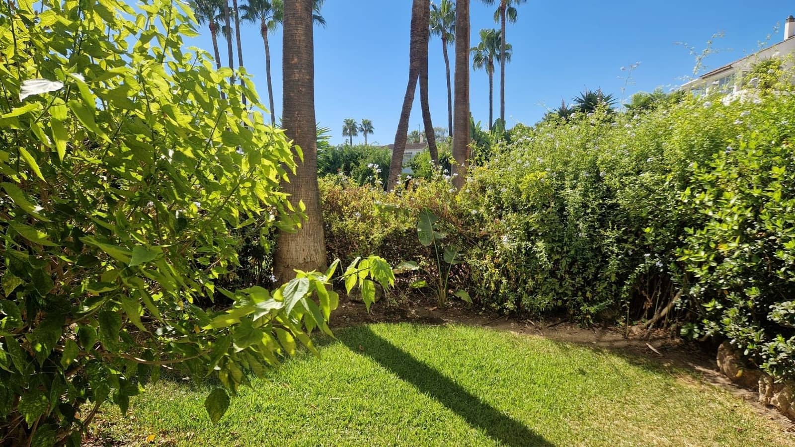 2 slaapkamer Appartement te koop in Estepona - € 350.000 (Ref: 9211716)