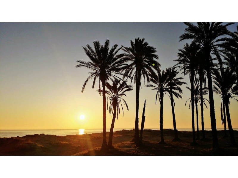 2 soveværelse Bungalow til salg i Torrevieja med swimmingpool garage - € 299.900 (Ref: 7177666)