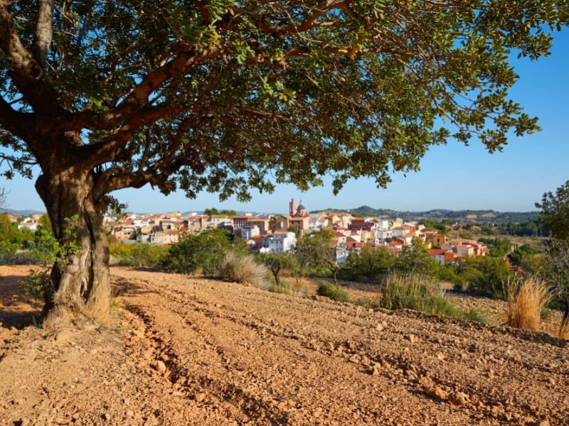 4 soveværelse Lejlighed til salg i Almoradi - € 189.900 (Ref: 7467077)