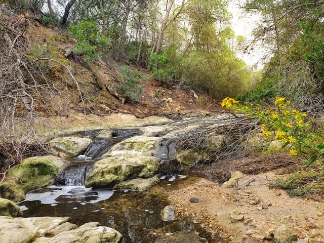 4 bedroom Apartment for sale in Almoradí - € 189,900 (Ref: 7467077)