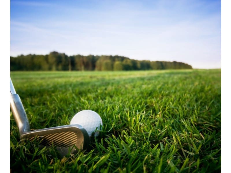 6 soveværelse Villa til salg i Algorfa med swimmingpool - € 965.000 (Ref: 8979598)